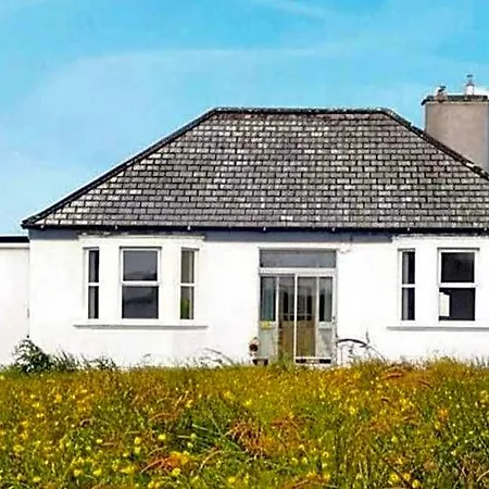 Nature Retreat - Sleeps 4 & Wild Ponies