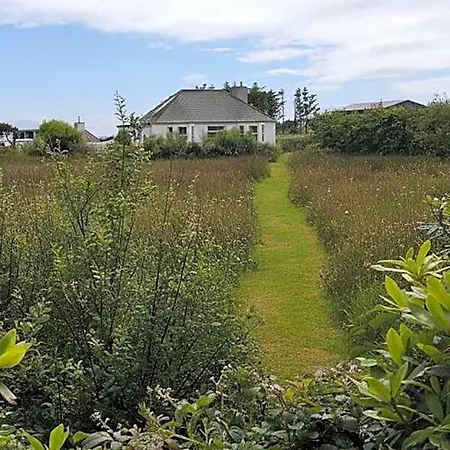 Сasa de vacaciones Nature Retreat - Sleeps 4 & Wild Ponies Tullaghanbaun