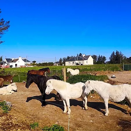 Nature Retreat - Sleeps 4 & Wild Ponies Сasa de vacaciones